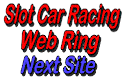 On To The Next Slot Car Site